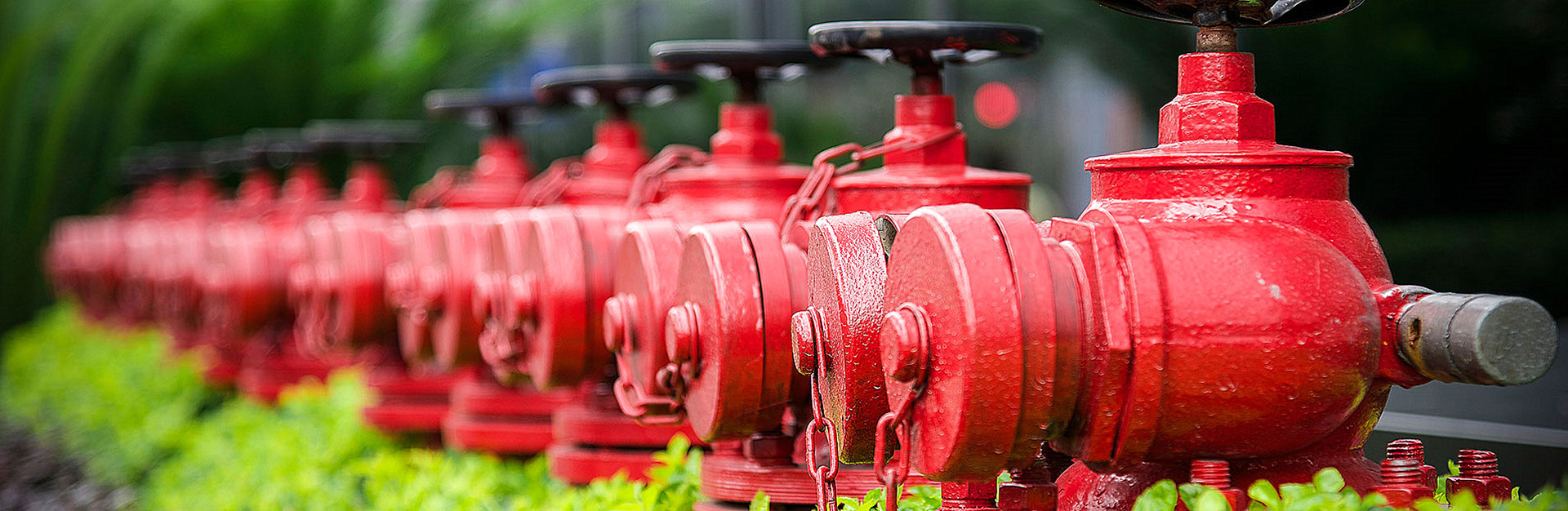 अग्नि वाल्व