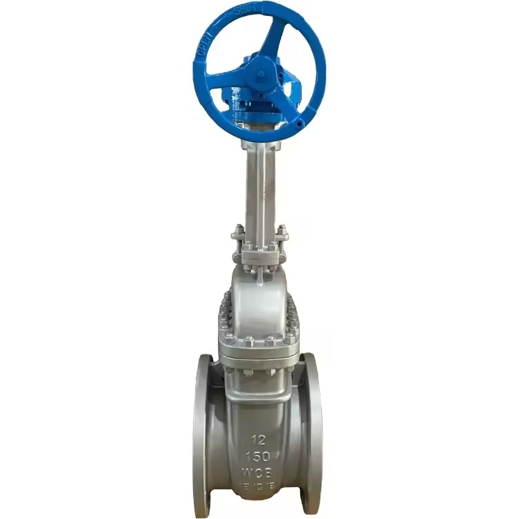 API 600 ANSI FLANGED गियर संचालित कास्ट स्टील गेट वाल्व