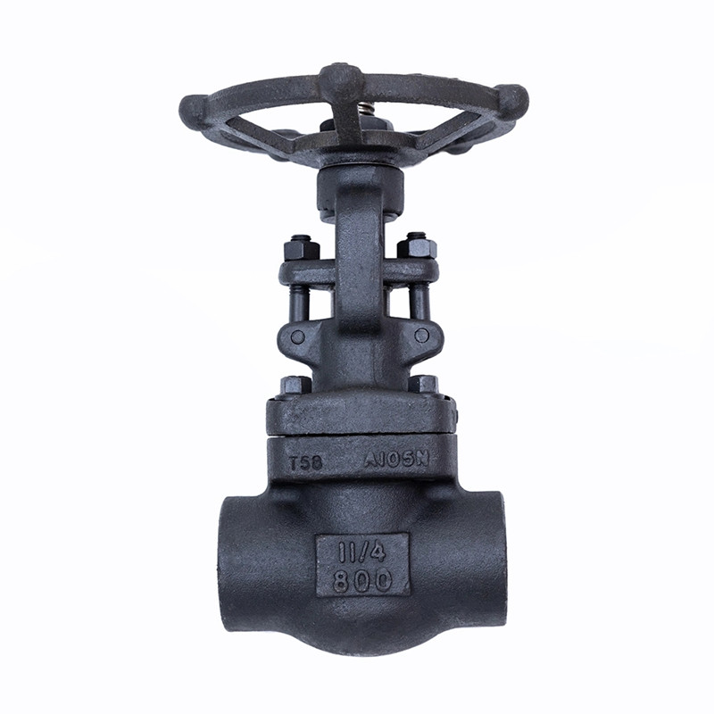 जाली गेट वाल्व 800एलबीएस